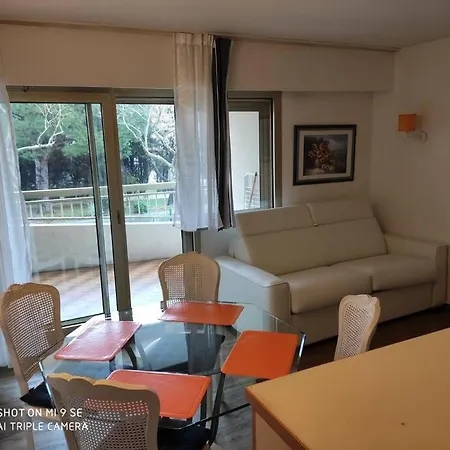 Parfum De Mimosa 생트막시메